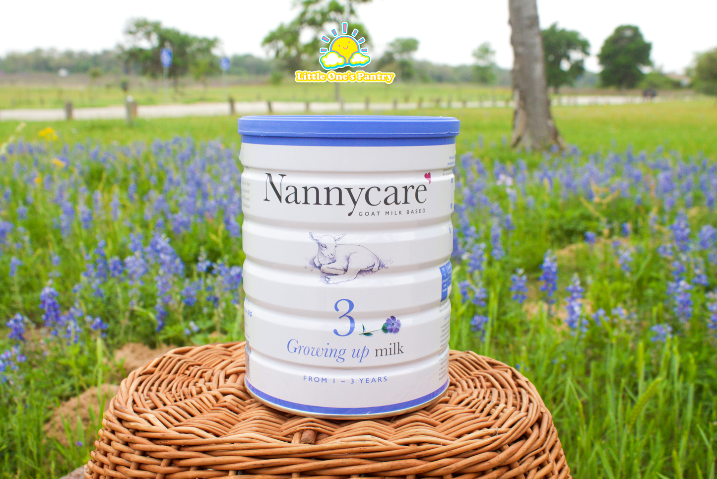 Nannycare Stage 3 Growing Up Milk 900g
