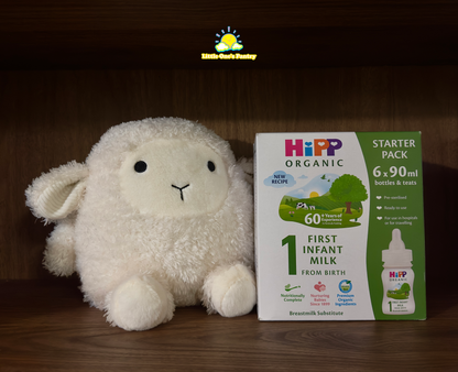 HiPP UK Organic Ready To Feed Starter Pack – First Infant Milk Stage 1, 6x90ml